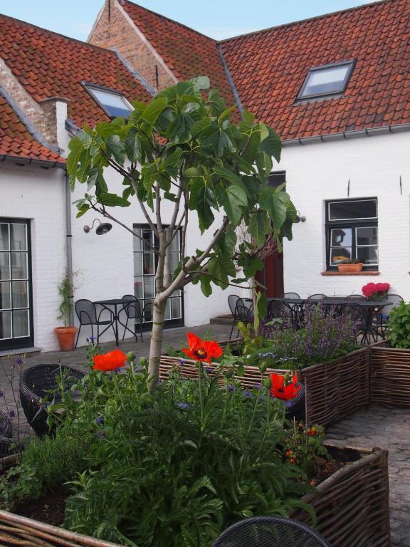 Hotel Het Oud Gemeentehuis Даме Екстериор снимка